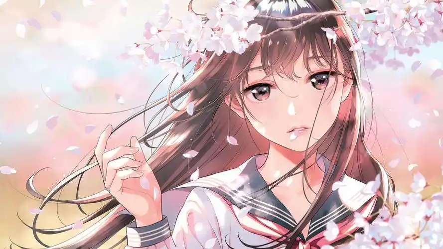 樱花影院同好社区涂鸦墙与贴纸拼贴背景